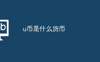 u币是什么货币