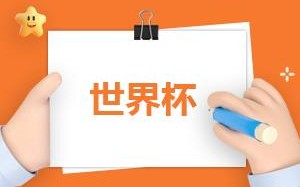 法国vs丹麦历史战绩（对比分析）