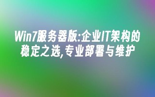 win7服务器版：企业it架构的稳定之选,专业部署与维护