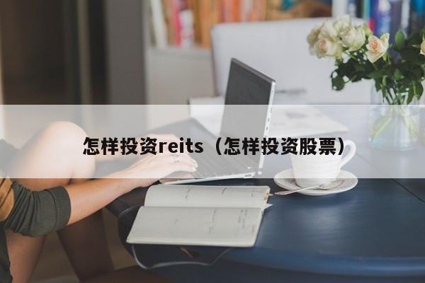 怎样投资reits（怎样投资股票）-第1张图片-华展网